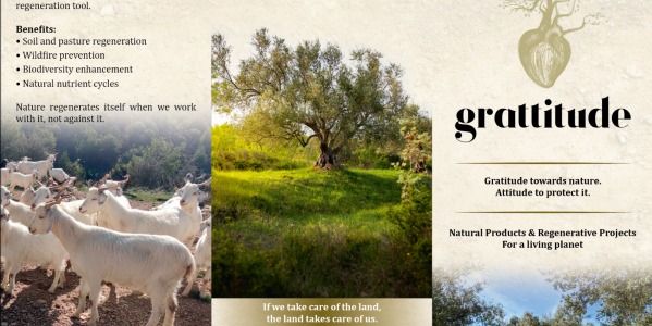 Proyectos: Biofertilizantes alquimicos, Plantaciones agrosostenibles y Introduccion de Ganado Extensivo 